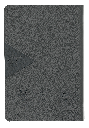 CONTRAPORTADA