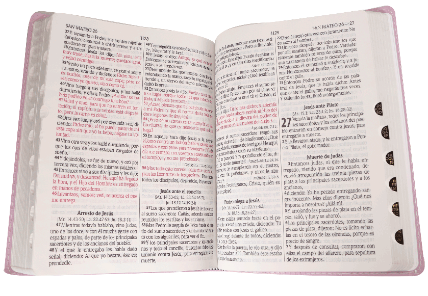 CONTENIDO