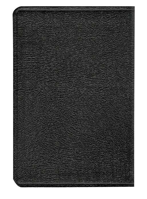 CONTRAPORTADA