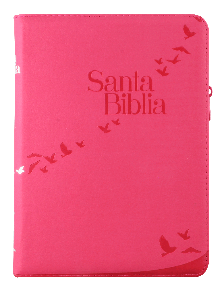 BIBLIA LETRA GIGANTE ROSA RVR086cZTILGiPJR