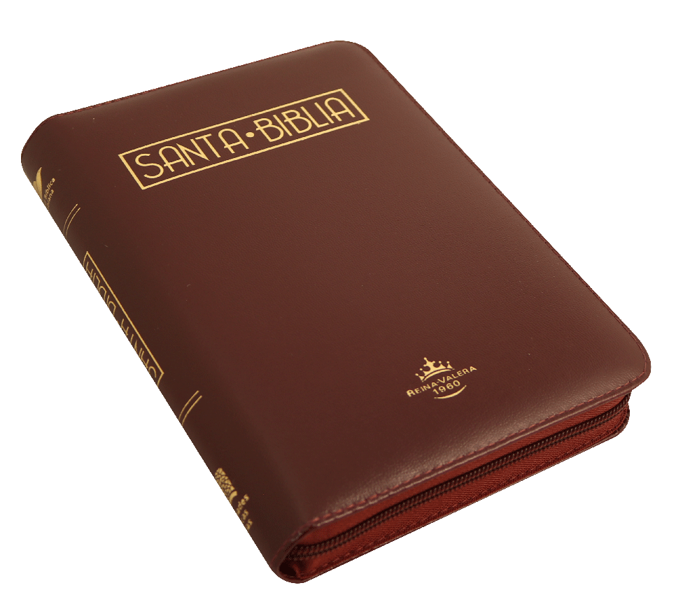 CONTRAPORTADA