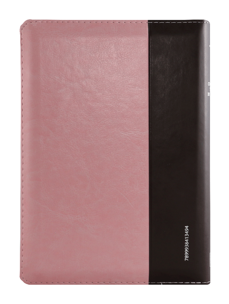 CONTRAPORTADA