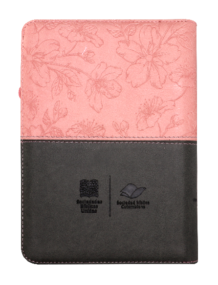 Biblia de Estudio Oraciones Reina Valera 1960 Mediana Letra Grande Imitación Piel Rosa Código QR [RVR056cZLGPJR]