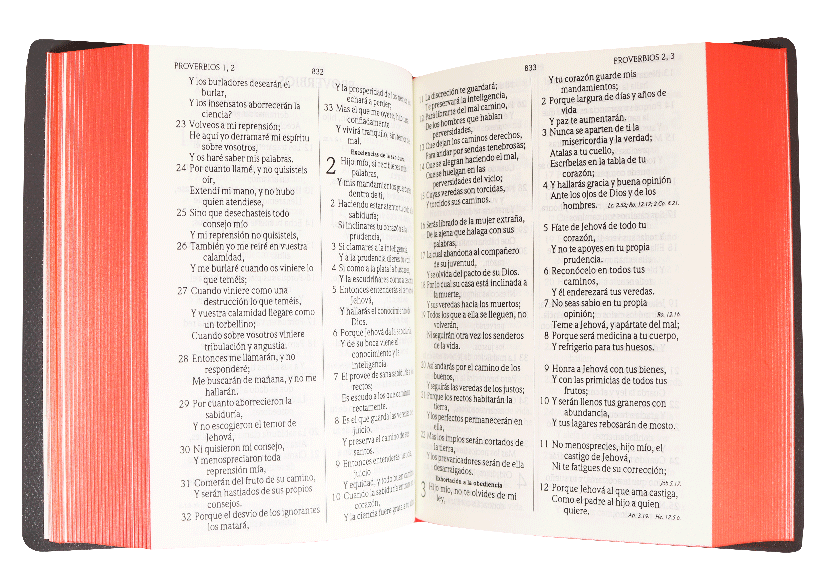 CONTENIDO