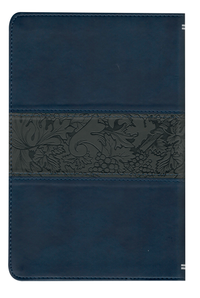 CONTRAPORTADA