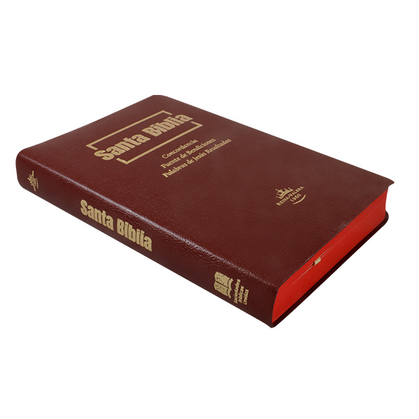 Biblia Fuente de Bendiciones Reina Valera 1960 Mediana Letra Mediana Imitación Piel Vino [RVR.65uecFBPJR] 