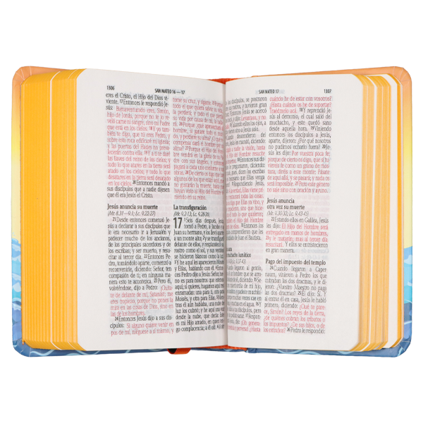 Biblia Infantil Reina Valera 1960 Bolsillo Letra Chica Tapa Dura Arca Naranja [RVR.13cPJR] 