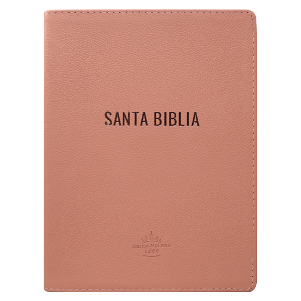 Biblia Reina Valera 1960 Grande Letra Mediana Piel Genuina Rosa [RVR.89cFBPJR] 