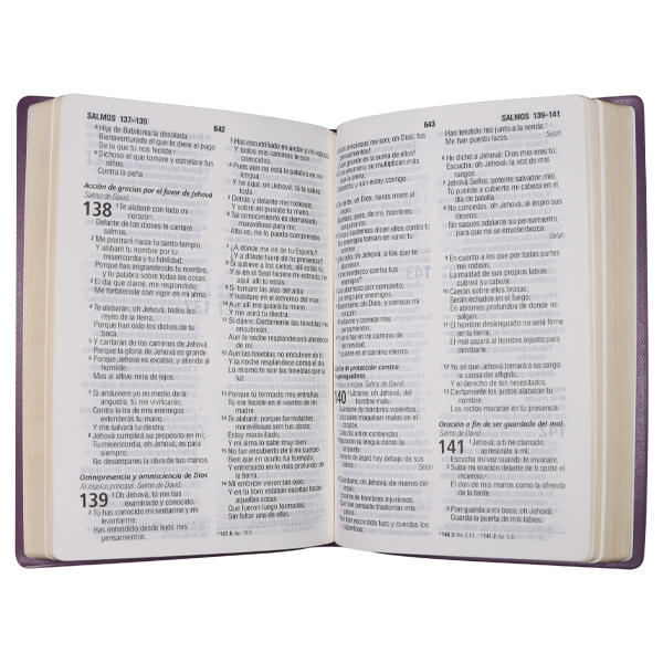 Biblia Reina Valera 1960 Mediana Letra Grande Vinil Vino [RVR062cLG PE] 
