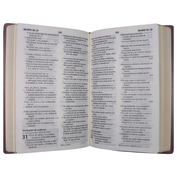 Biblia Reina Valera 1960 Mediana Letra Grande Vinil Marrón [RVR062cLG PE] 