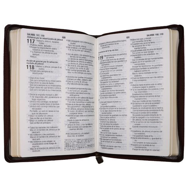 Biblia Reina Valera 1960 Mediana Letra Grande Imitación Piel Marrón [RVR065cZLG PE] 