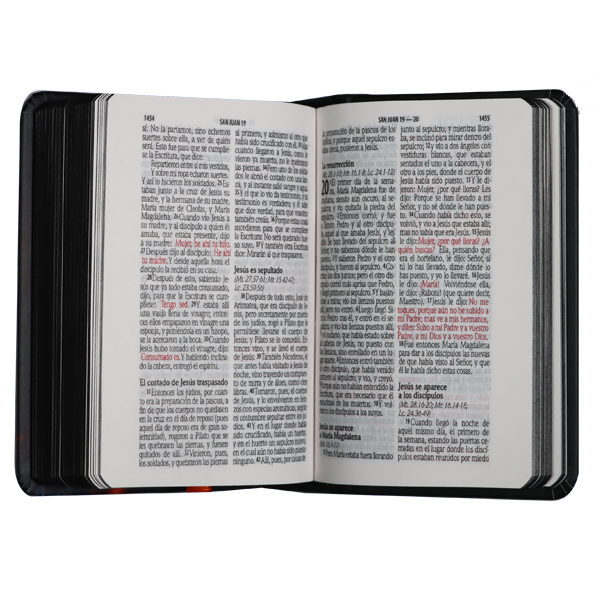 Biblia Reina Valera 1960 Mini-Bolsillo Letra Chica Tapa Dura León RVR.13cPJR 