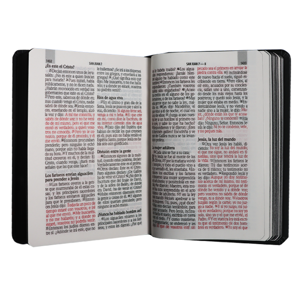 Biblia Reina Valera 1960 Tamaño Bolsillo Letra Chica Tapa Dura León RVR.23cLGPJR 