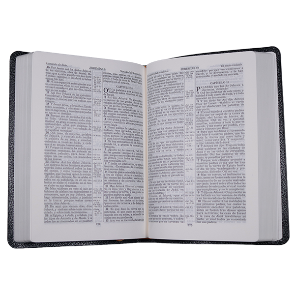Biblia Reina Valera 1909 Mediana Letra Chica Imitación Piel Gris VR055 SS 