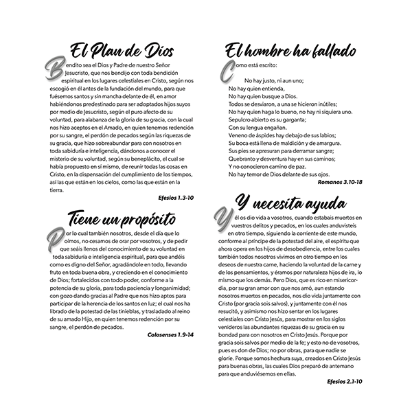 Paquete de Folletos El Plan de Dios Para Ti Reina Valera 1960 - Zarza (100 Piezas) 