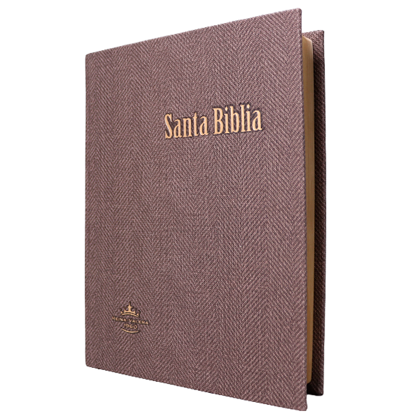 Biblia Reina Valera 1960 Grande Letra Gigante Tapa Dura Café RVR083cLGiPJR MN 
