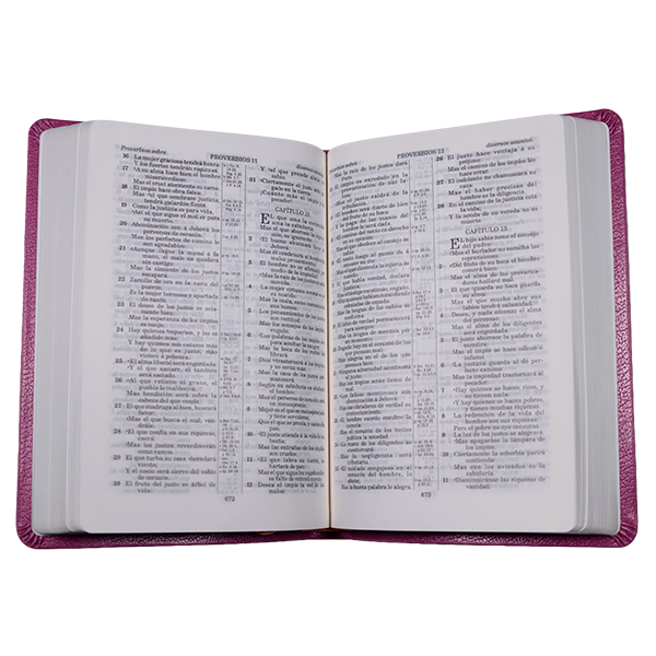 Biblia Reina Valera 1909 Mediana Letra Chica Imitación Piel Púrpura VR055 SS 