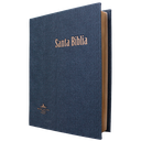 Biblia Reina Valera 1960 Grande Letra Gigante Tapa Dura Gris RVR083cLGiPJR MN 