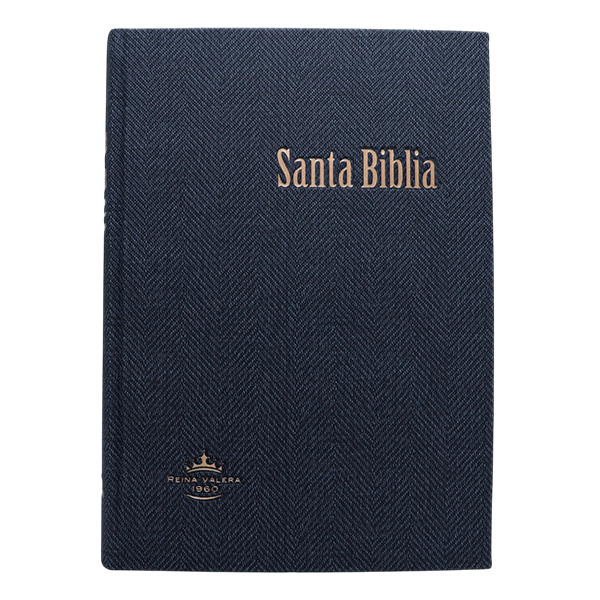 Biblia Reina Valera 1960 Grande Letra Gigante Tapa Dura Gris RVR083cLGiPJR MN 