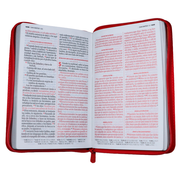 Biblia Mujer Virtuosa Reina Valera 1960 Mediana Letra Grande Imitación Piel Terracota Cierre PJR [RVR066ZLGPJR] 