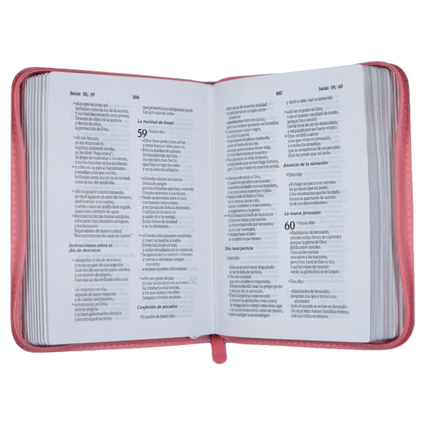Biblia Traducción Lenguaje Actual Chica Letra Chica Imitación Piel Rosa Cierre [TLA.46ZLM] 