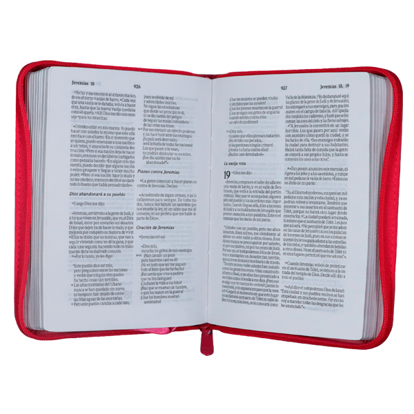 Biblia Traducción Lenguaje Actual Chica Letra Chica Imitación Piel Fucsia Cierre [TLA.46ZLM] 