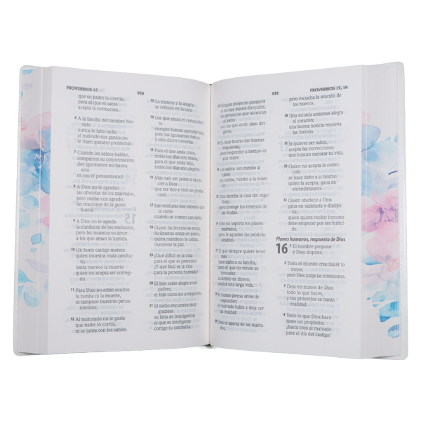 Biblia Traducción Lenguaje Actual Mediana Letra Grande 11 pts Vinil  TLA062LG Amaranth 