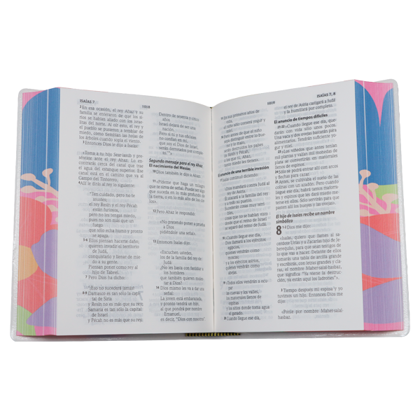 Biblia Traducción Lenguaje Actual Chica Letra Grande 8 pts Vinil TLA042LG Fleuron 