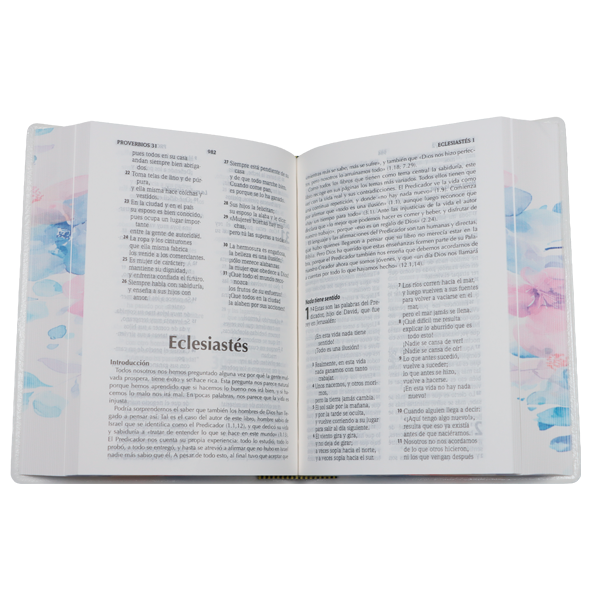 Biblia Traducción Lenguaje Actual Chica Letra Grande 8 pts Vinil TLA042LG Amaranth 