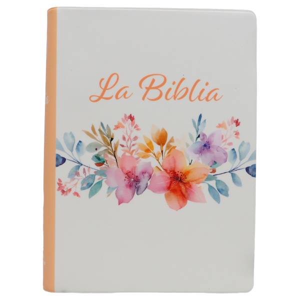Biblia Traducción Lenguaje Actual Chica Letra Grande 8 pts Vinil TLA042LG Amaranth 