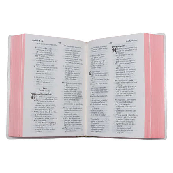 Biblia Traducción Lenguaje Actual Chica Letra Grande 8 pts Vinil Canto Rosa TLA042LG Lustre 