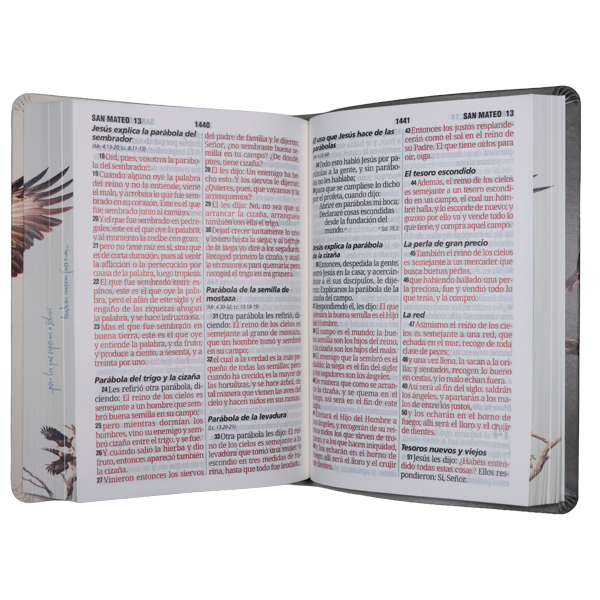 Biblia Reina Valera 1960 Mediana Letra Gigante 14 pts Imitación Piel PU RVR065cLGiPJR Águilas 