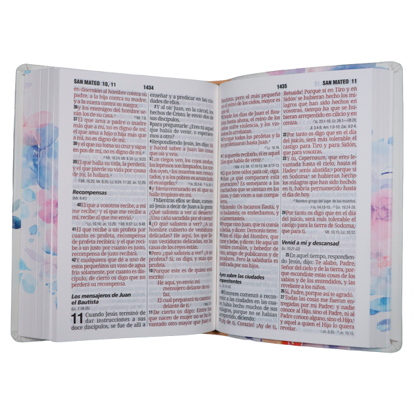 Biblia Reina Valera 1960 Mediana Letra Gigante 14 pts Imitación Piel PU RVR065cLGiPJR Amaranth 