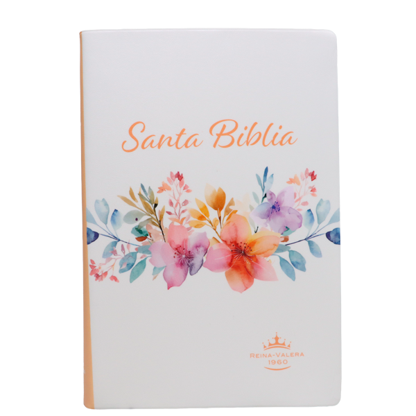 Biblia Reina Valera 1960 Mediana Letra Gigante 14 pts Vinil RVR062cLGiPJR Amaranth 