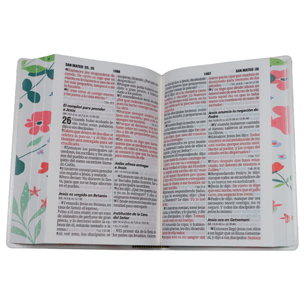 Biblia Reina Valera 1960 Mediana Letra Gigante 14 pts Vinil RVR062cLGiPJR Flora 