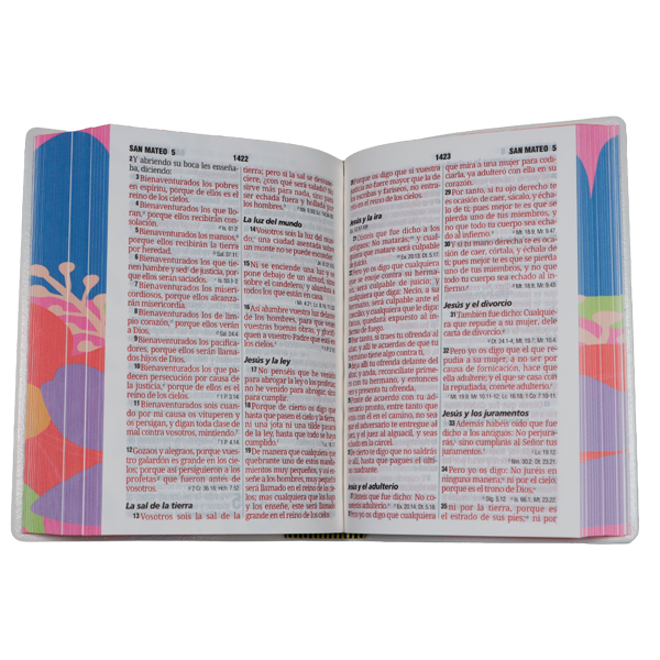 Biblia Reina Valera 1960 Chica Letra Grande 11 pts Vinil RVR042cPJR Fleuron 