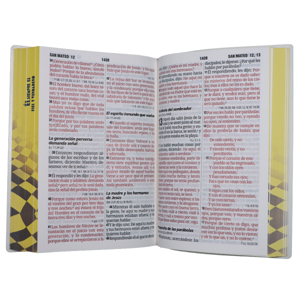 Biblia Reina Valera 1960 Mediana Letra Gigante 14 pts Vinil RVR062cLGiPJR Fiel 