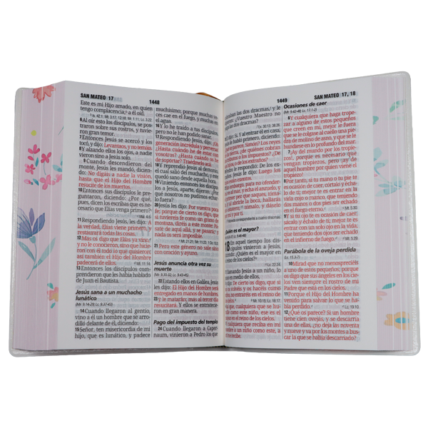 Biblia Reina Valera 1960 Chica Letra Grande 11 pts Vinil RVR042cPJR Flourish 