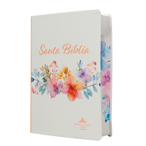 Biblia Reina Valera 1960 Chica Letra Grande 11 pts Vinil RVR042cPJR Amaranth 