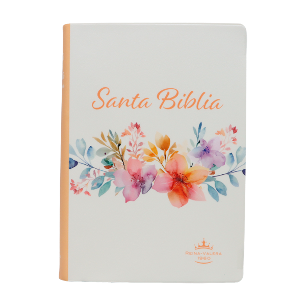 Biblia Reina Valera 1960 Chica Letra Grande 11 pts Vinil RVR042cPJR Amaranth 