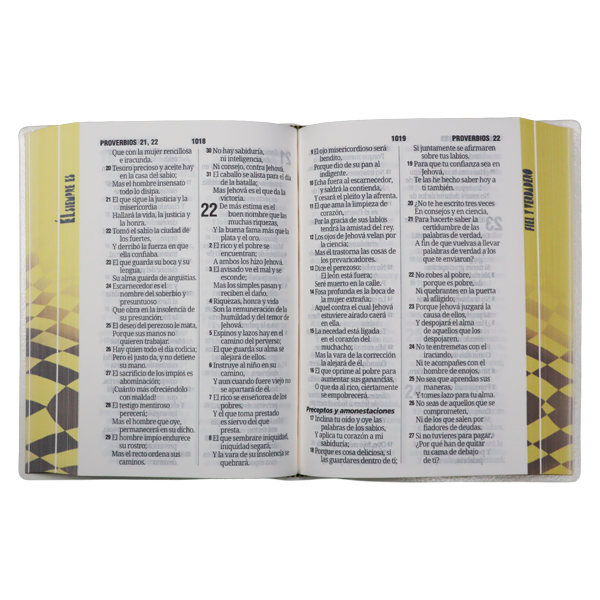 Biblia Reina Valera 1960 Chica Letra Grande 11 pts Vinil  RVR042cPJR Fiel 
