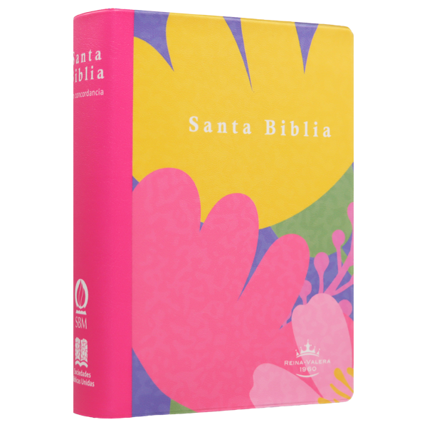 Biblia Reina Valera 1960 Chica Letra Grande 11 pts Vinil  RVR042cPJR Lycoris 