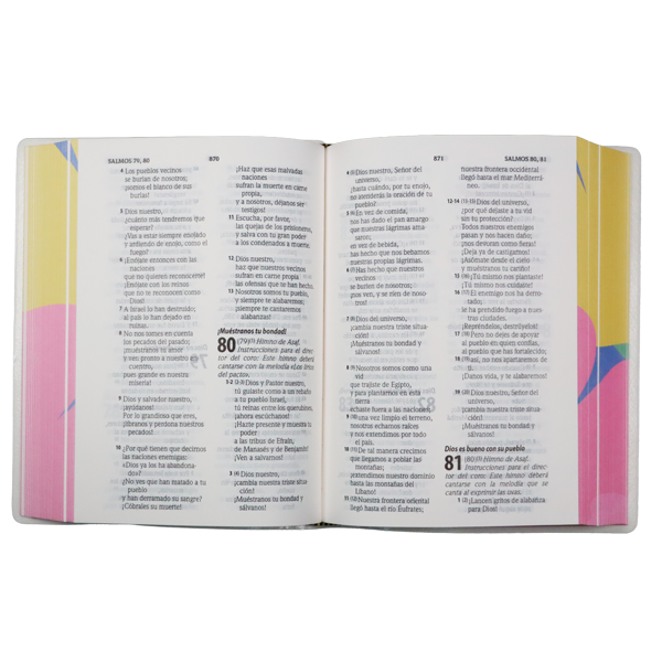 Biblia Traducción Lenguaje Actual Mediana Letra Grande 11 pts Vinil   TLA062LG Lycoris 