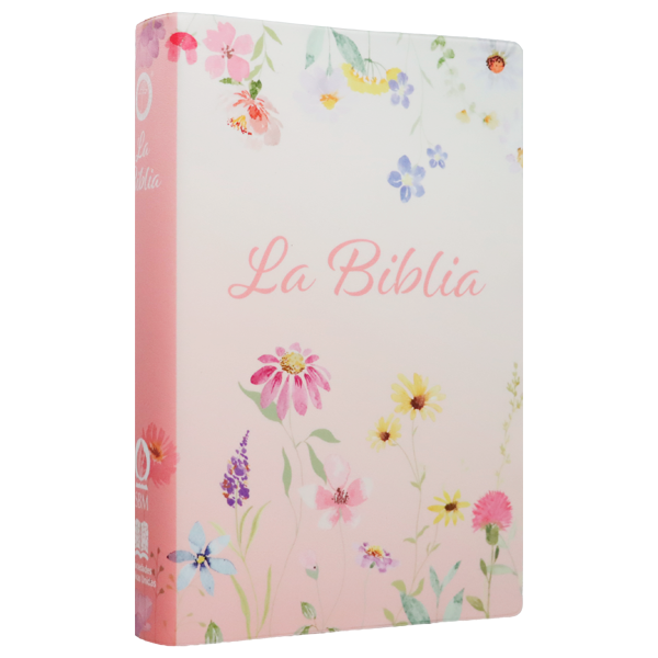 Biblia Traducción Lenguaje Actual Mediana Letra Grande 11 pts Vinil   TLA062LG Lustre 