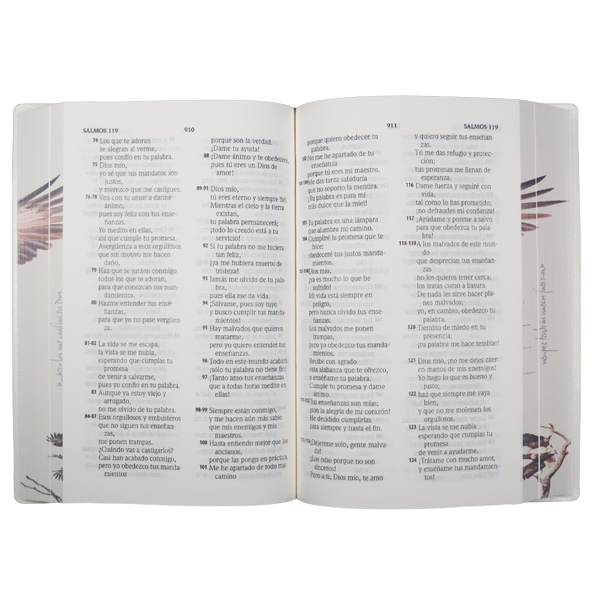 Biblia Traducción Lenguaje Actual Mediana Letra Grande 11 pts Vinil   TLA062LG Águilas 