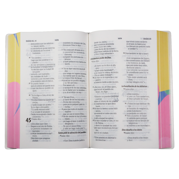 Biblia Traducción Lenguaje Actual Chica Letra Grande 8 pts Vinil  TLA042LG Lycoris 