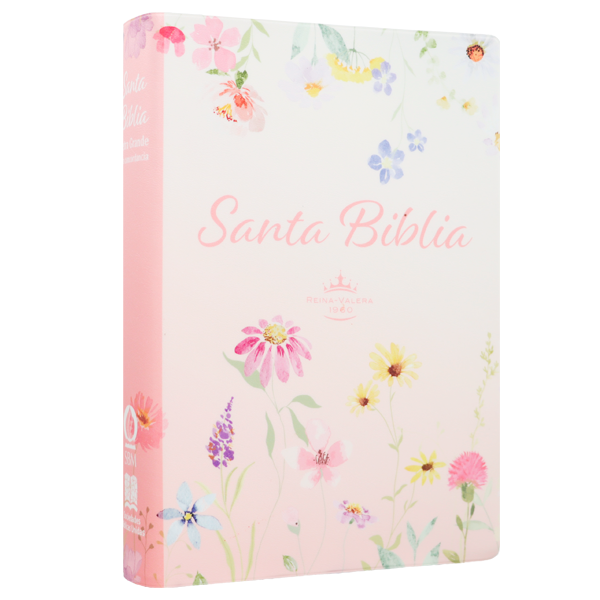 Biblia Reina Valera 1960 Mediana Letra Gigante 14 pts Vinil  RVR062cLGiPJR Lustre 