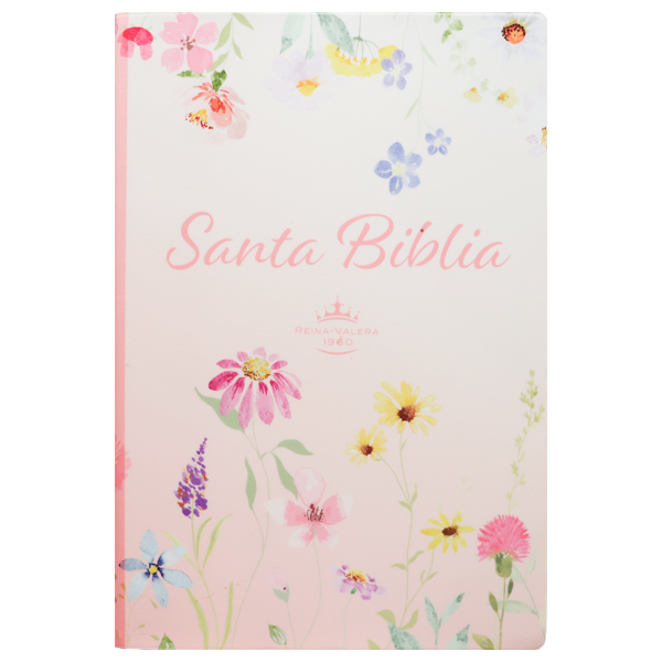 Biblia Reina Valera 1960 Mediana Letra Gigante 14 pts Vinil  RVR062cLGiPJR Lustre 