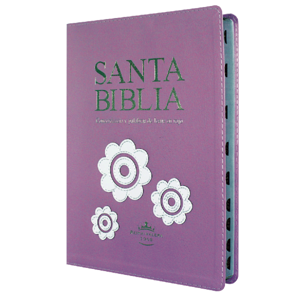 Biblia Reina Valera 1960 Grande Letra Gigante Imitación Piel Lila [RVR087TICLGIPJR]