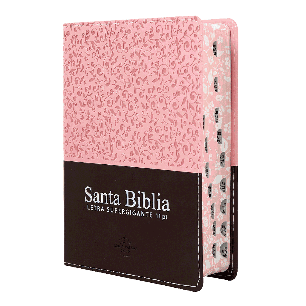 Biblia Reina Valera 1960 Chica Letra Grande Imitación Piel Rosa/Marrón [RVR046cLGPJRZTI]